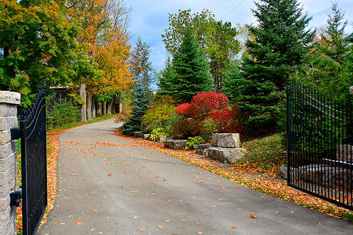 065-Front Driveway Autumn View