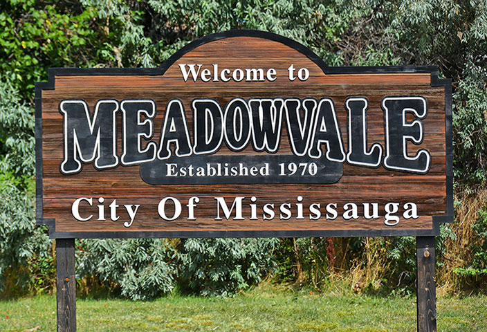 000-Welcome to Meadowvale